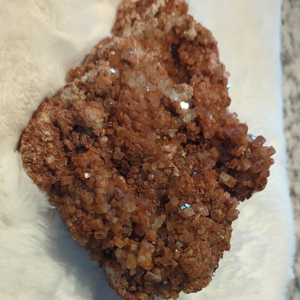 Argoanoite mineral cluster fossil